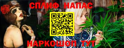 apvp Кунгур