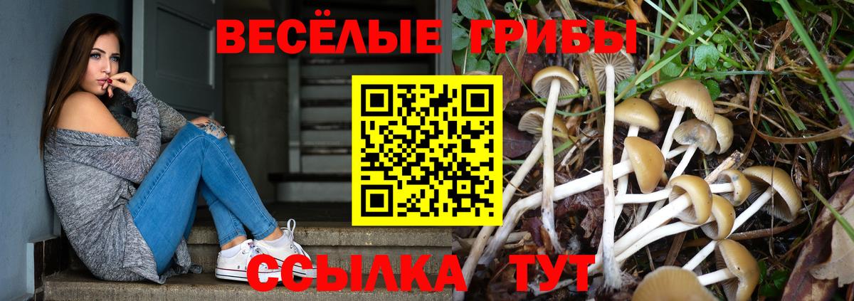 Галлюциногенные грибы GOLDEN TEACHER  Псилоцибиновые грибы Magic Shrooms  Вход с VPN  Петровск 