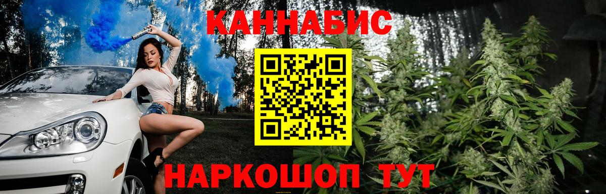 Каннабис семена  Вход с VPN  Конопля White Widow  Петровск  Бошки марихуана Ganja  Бошки марихуана ГИДРОПОН 